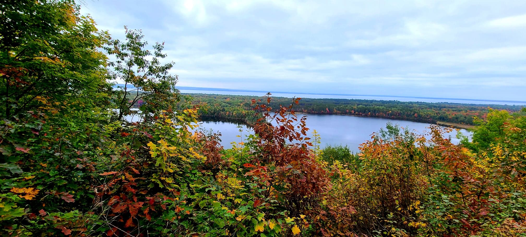 Mission Hill Overlook 2020